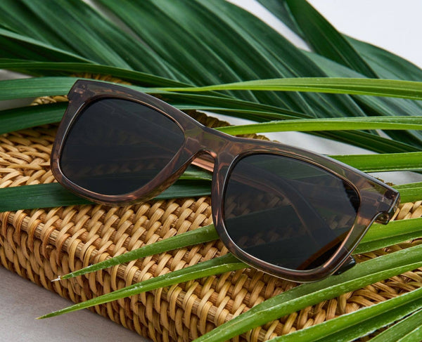 Peepers - Harbor (Sunglasses): Green/Tortoise / Reading / 2.50