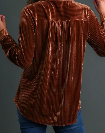 Copper Velvet Collared Top