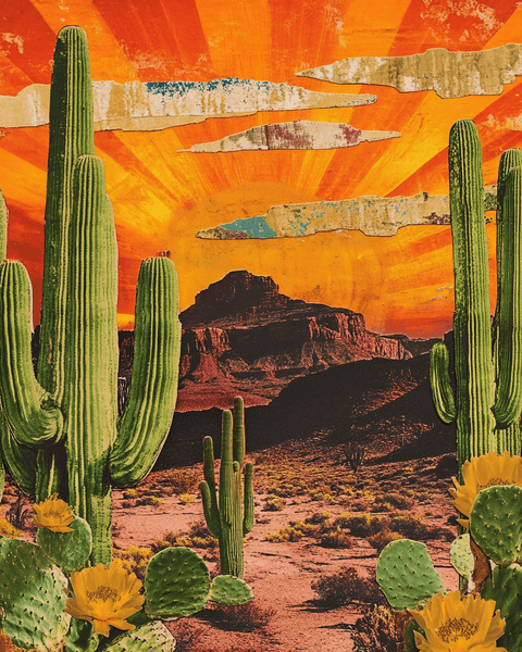 Mowbi - Arizona Collage - American Southwest Art Prints - 8"x10" Artwork for 11"x14" Frame