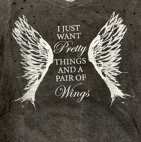 I Just want Pretty things and a pair of Wings T Shirt