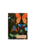 Romy Notebook