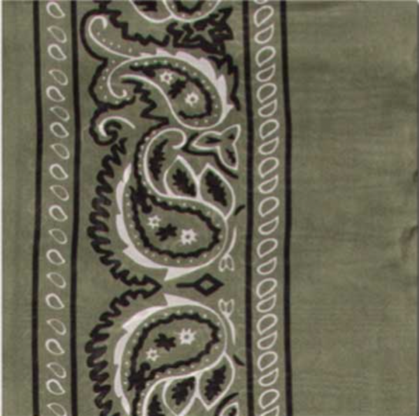 Silk Bandana Scarf 20"