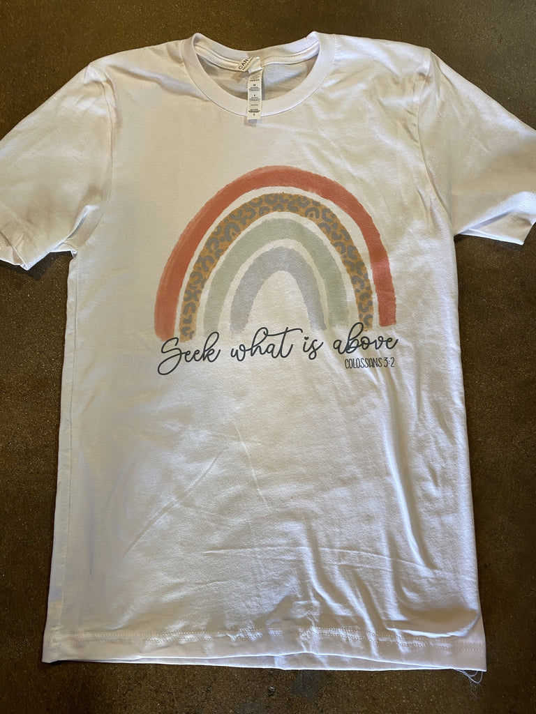 Seek what is Above~ White T shirt