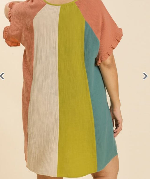 Multicolor Button Front Dress
