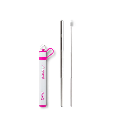 Telescopic Stainless Steel Straw Set -5 colors